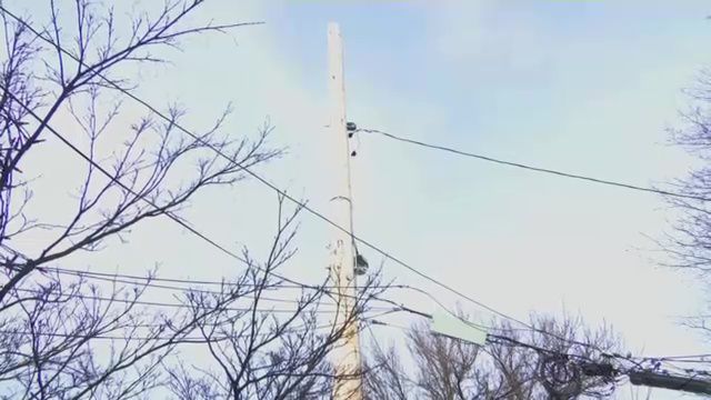 NY1 For You Leaning Telephone Pole No Longer an Issue for Staten