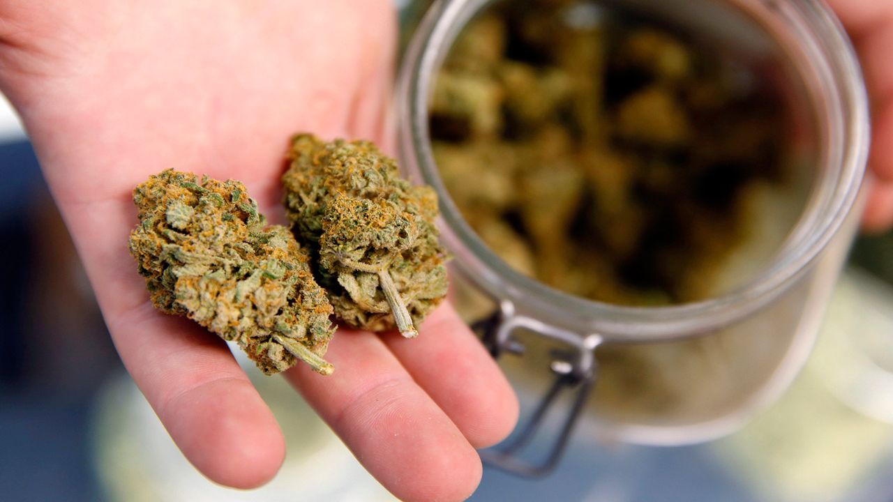 The adult-use marijuana establishments in Massachusetts surpassed $2 billion in gross sales, according to the state's Cannabis Control Commission/Spectrum News 1