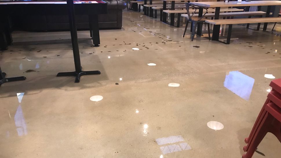 Water visible on the floor of Pour Taproom in St. Petersburg.