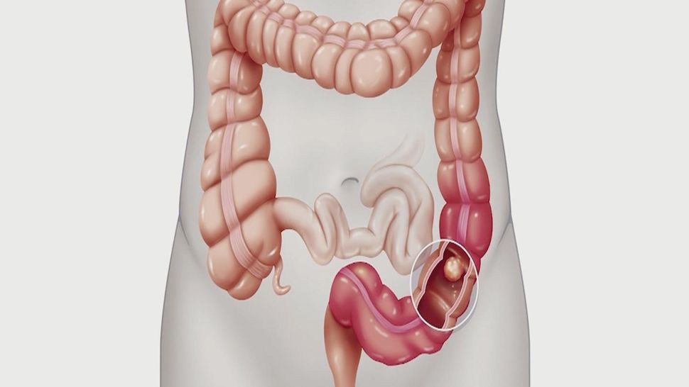Diagram of the human gastrointestinal system