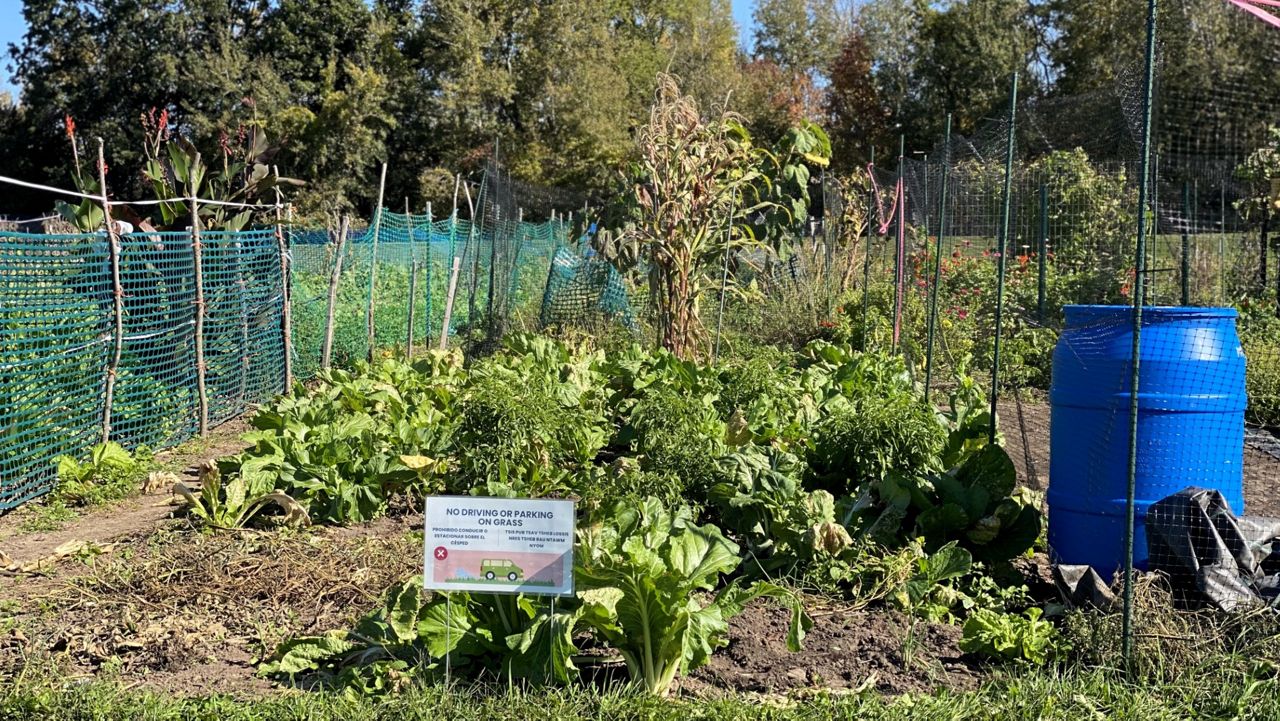 Wisconsin county betting big on community gardens