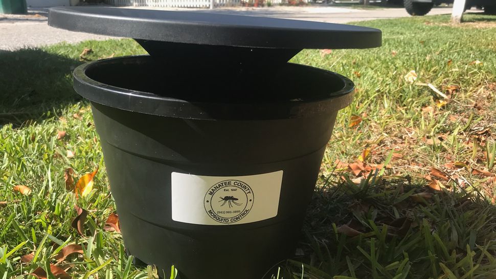 Biologists placed over 500 of these bucket-like mosquito traps around a Longboat Key neighborhood on Wednesday, May 9, 2018 as part of an experiment in mosquito control. (Angie Angers, staff)