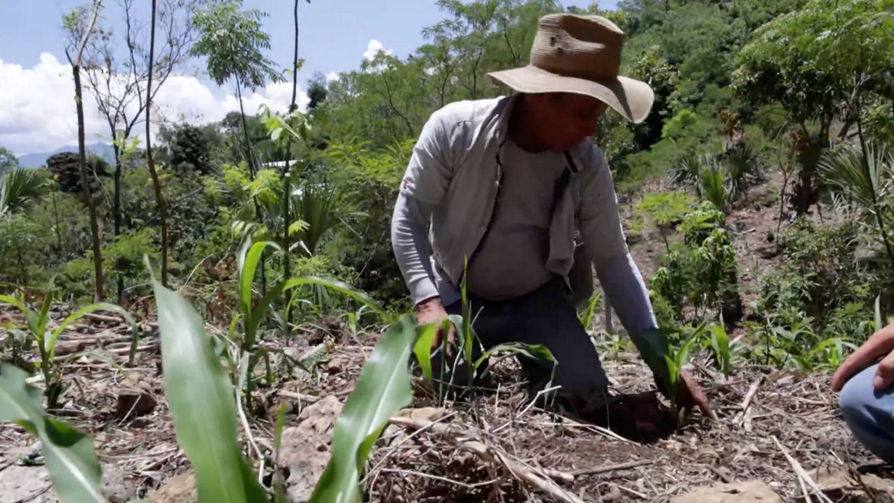 Agricultores y familias guatemaltecas empoderadas por la ayuda estadounidense