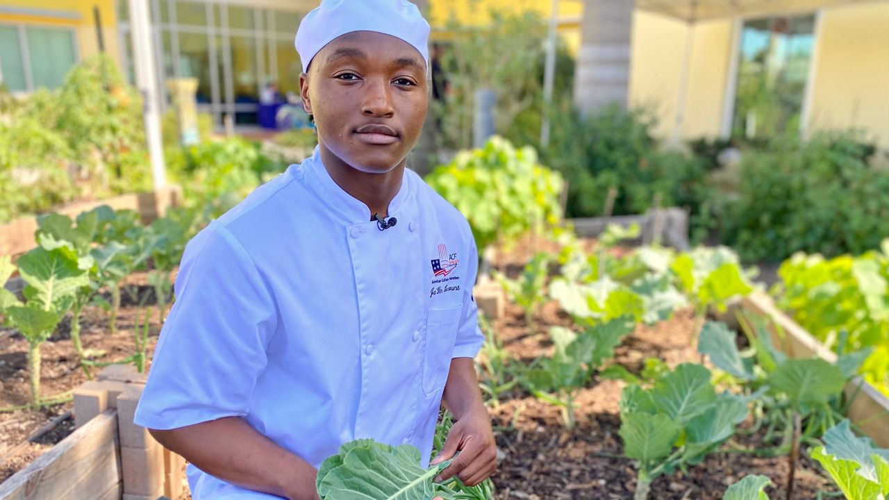 Collard greens in gumbo wins festival competition