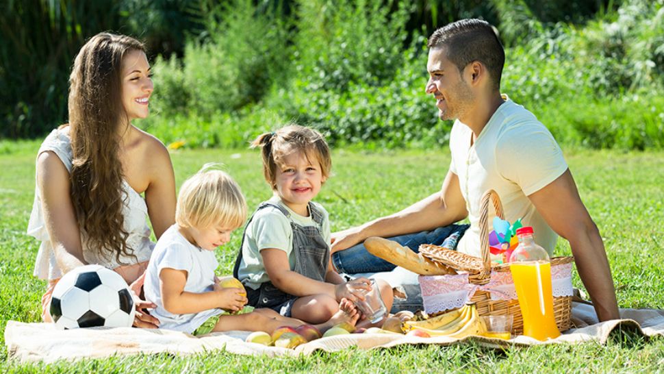 Family picnic (Photo credit: CDC)