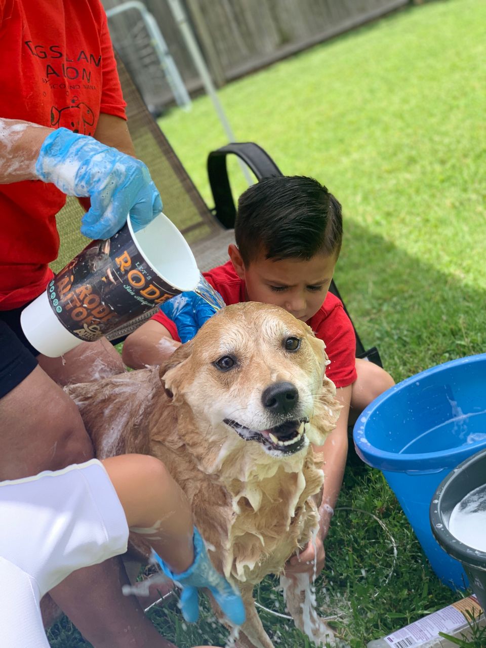 Dog wash hot sale business