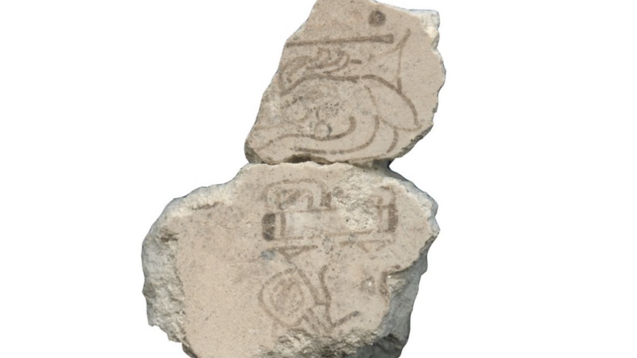 UT Austin researchers discovered fragments displaying the notation "7 Deer" that belong to the Maya divination calendar. (UT Austin)