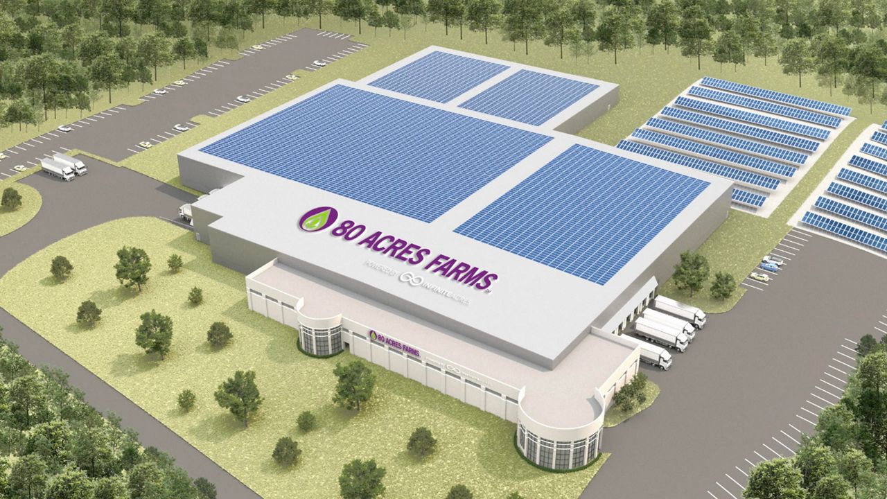 Vertical farming coming to Northern Kentucky - Vimarsana News