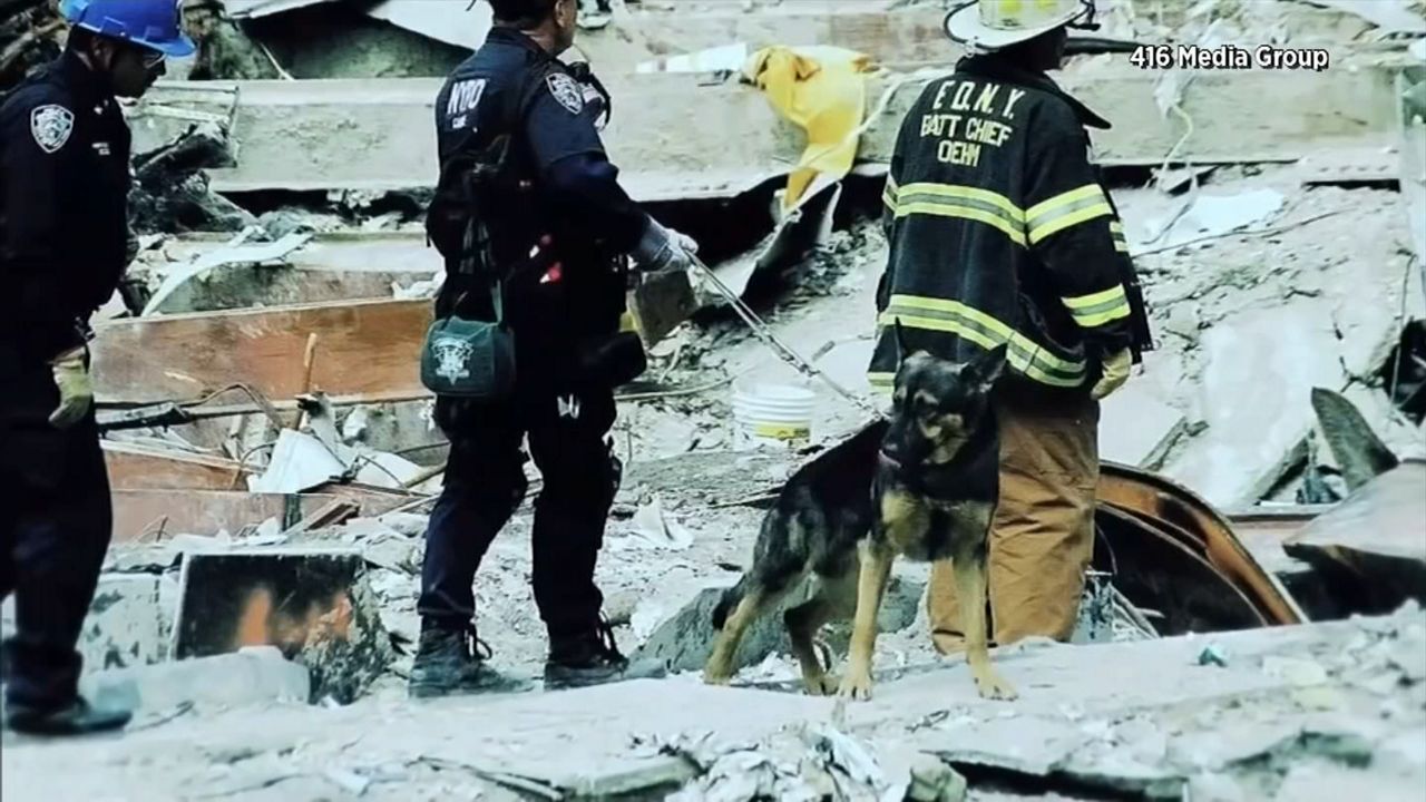 NYPD K-9s dedicated 8 months to 9/11 recovery