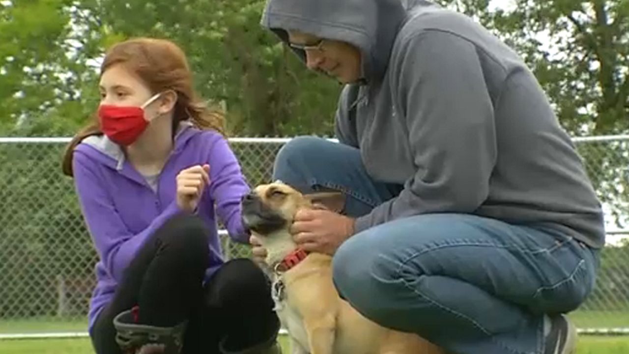 Syracuse Opens First Dog Park