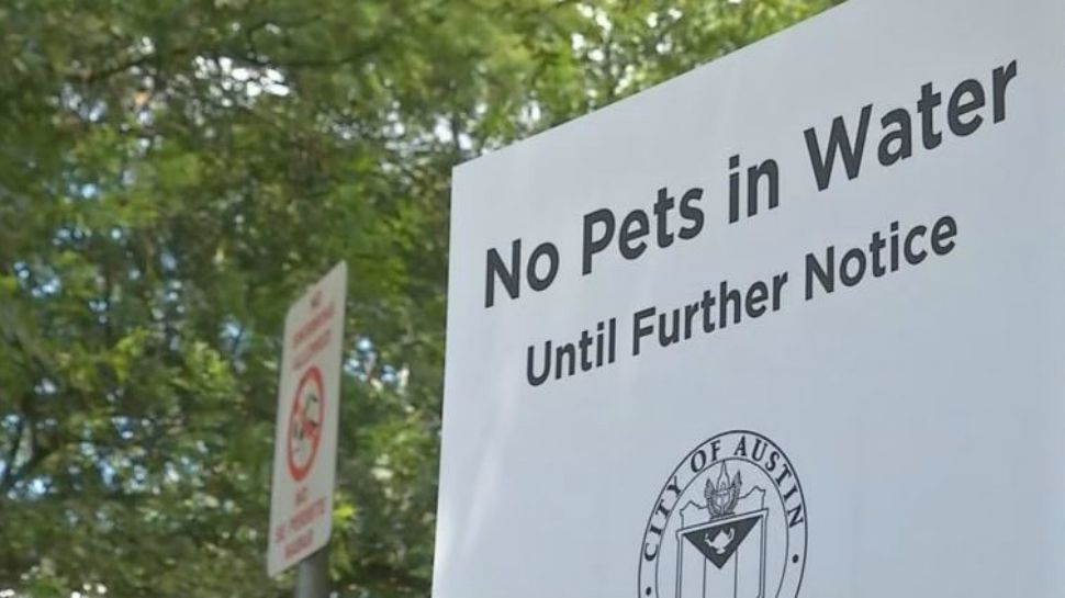 FILE - A City of Austin sign reads "No Pets in Water Until Further Notice" (Spectrum News)
