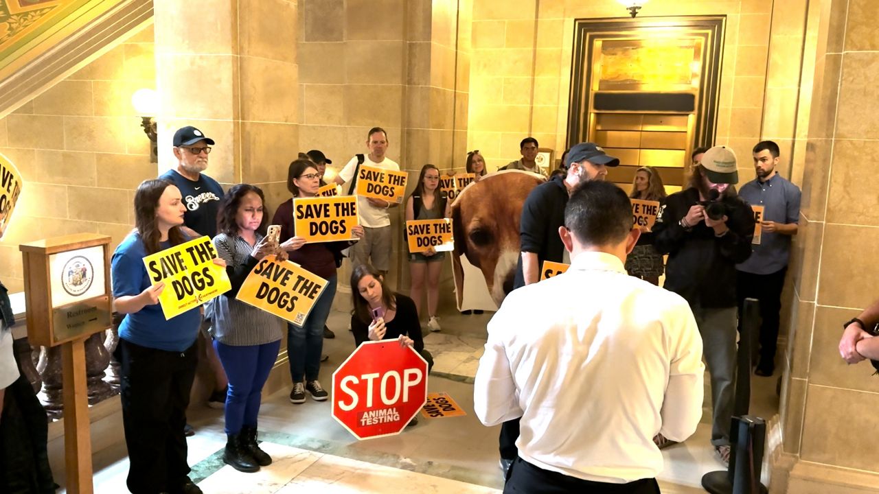 Animal rights activists criticize Gov. Evers for Ridglan Farms inaction