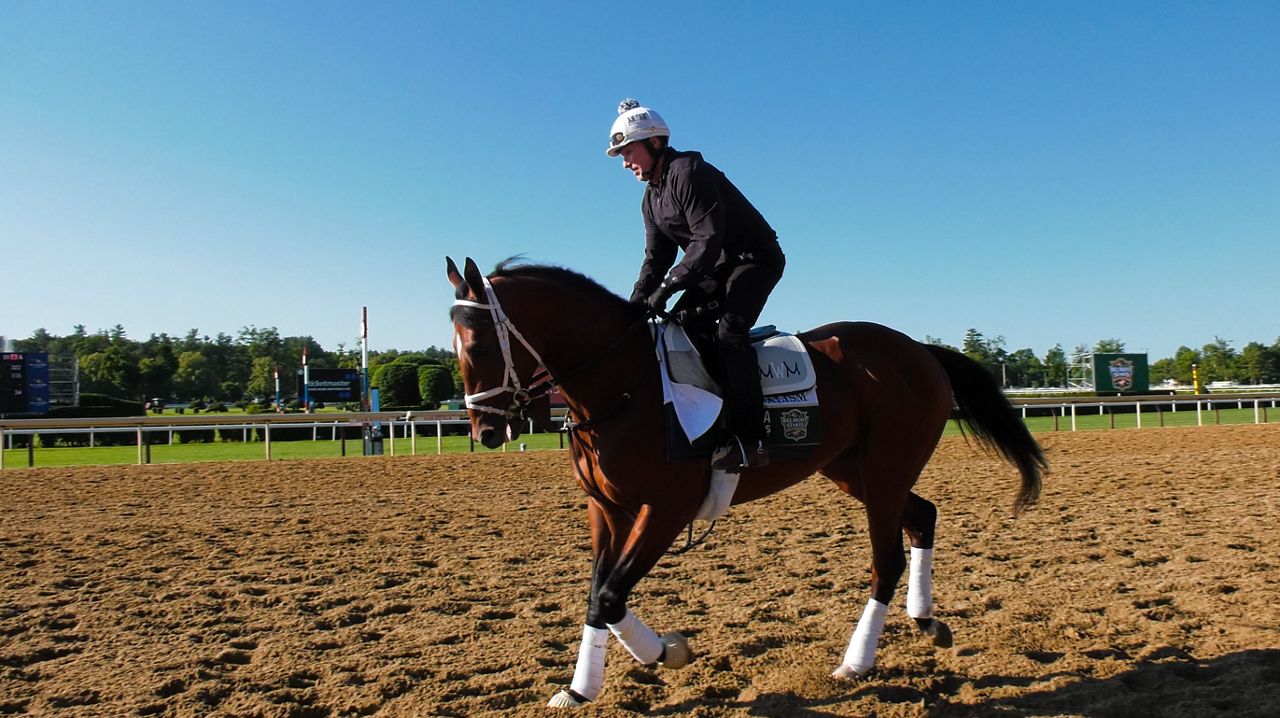 Journalism will be the favorite heading into the 157th running of the Belmont Stakes this weekend.