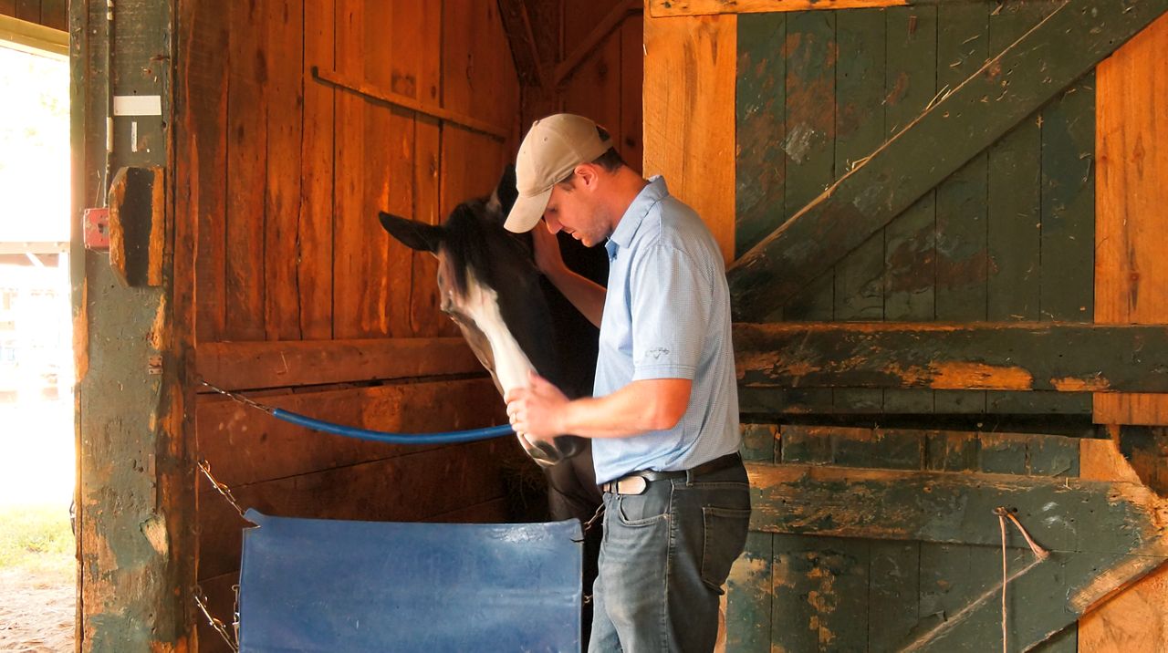 From basketball court to racetrack, Kinnon LaRose embraces trainer role