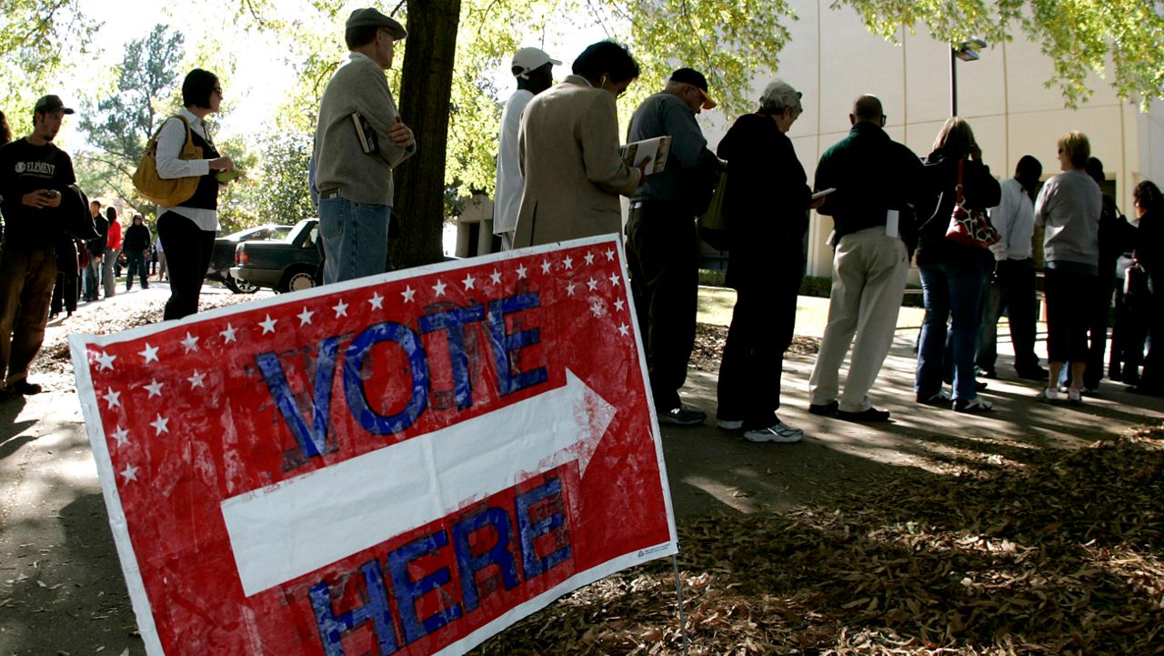 Voters stand in line to cast their ballots early. 