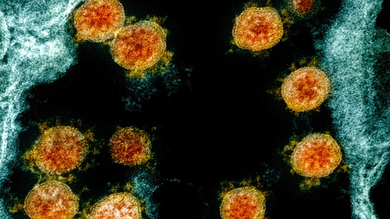 Coronavirus