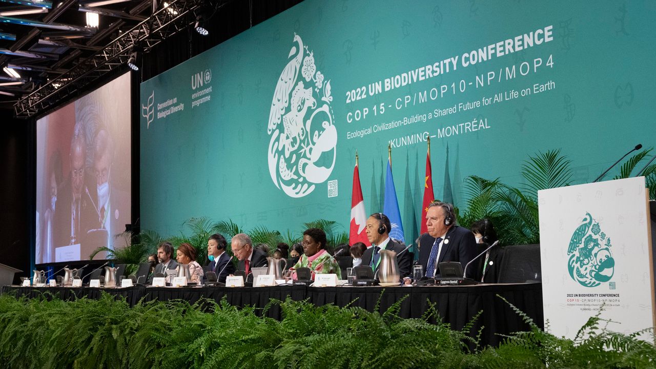 The head table gets set to open the high level segment at the COP15 biodiversity conference, in Montreal, Thursday, Dec. 15, 2022. (Ryan Remiorz/The Canadian Press via AP)