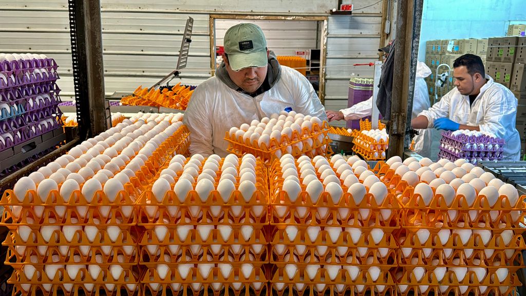 A worker moves crates of eggs at the Sunrise Farms processing plant on Thursday, Jan. 11, 2024, which has seen an outbreak of avian flu in recent weeks. (AP Photo/Terry Chea)