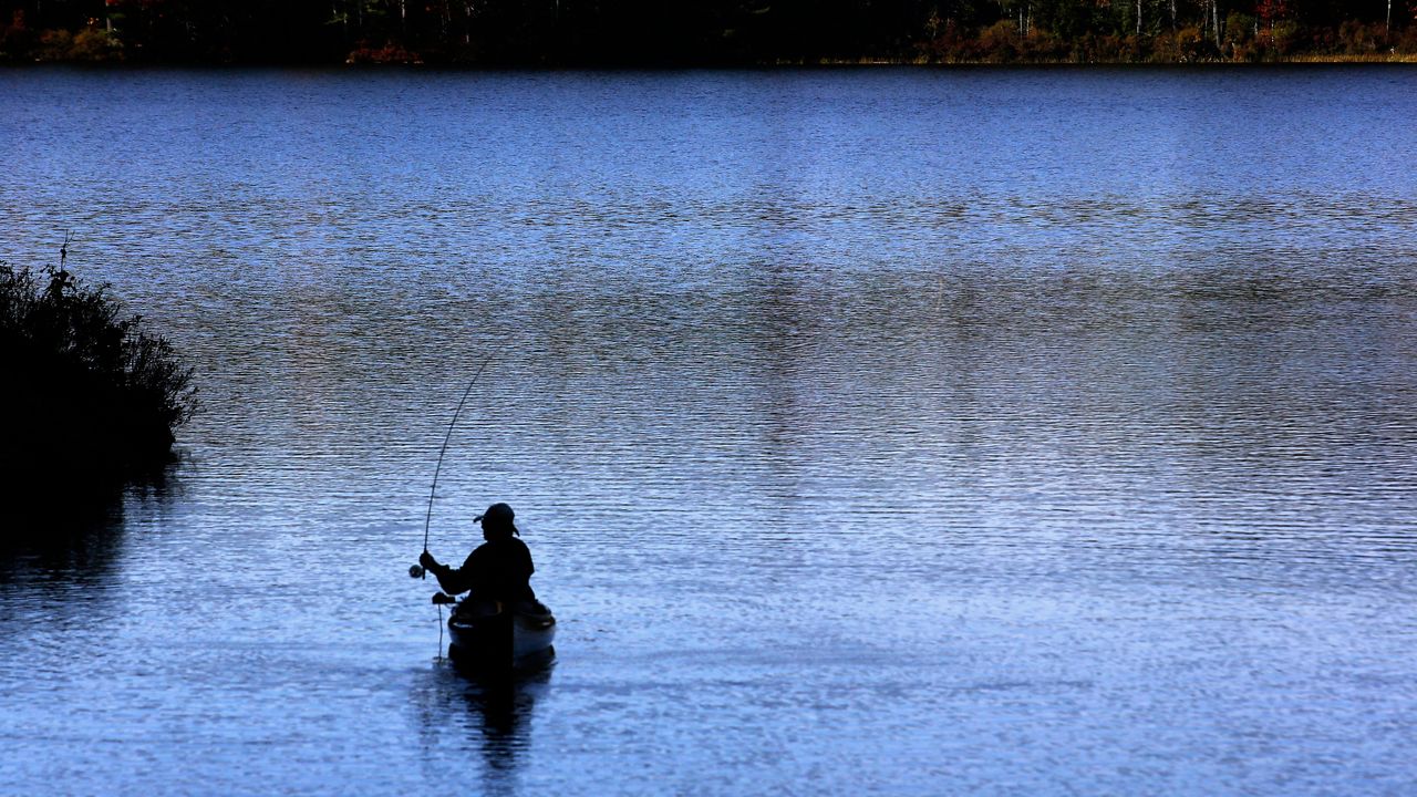 FWC ends online sales of short-term fishing licenses
