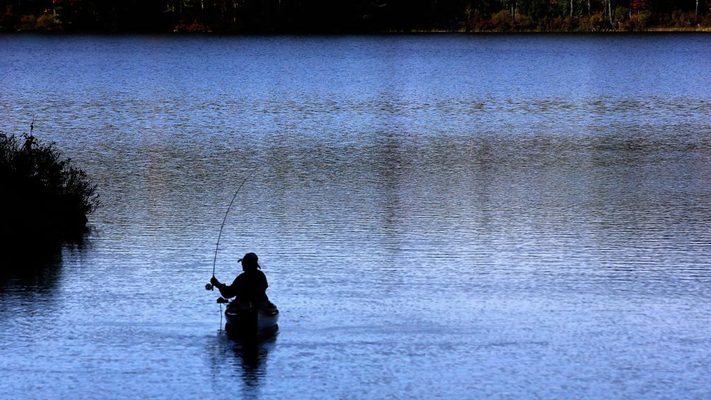 Information of Texas hunting, fishing license holders exposed in data breach, TPWD says