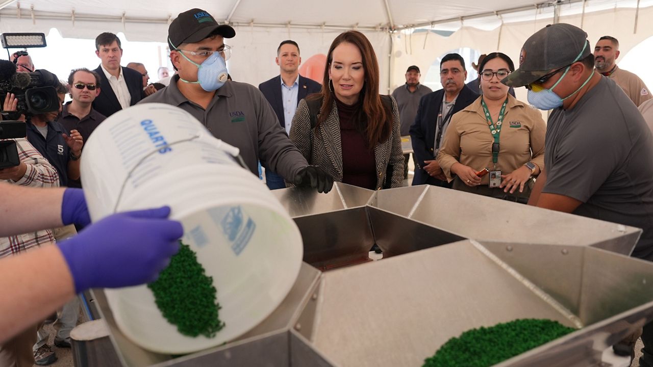 The U.S. has a new center in Texas to disperse sterile screwworm flies to block a parasite it spawns