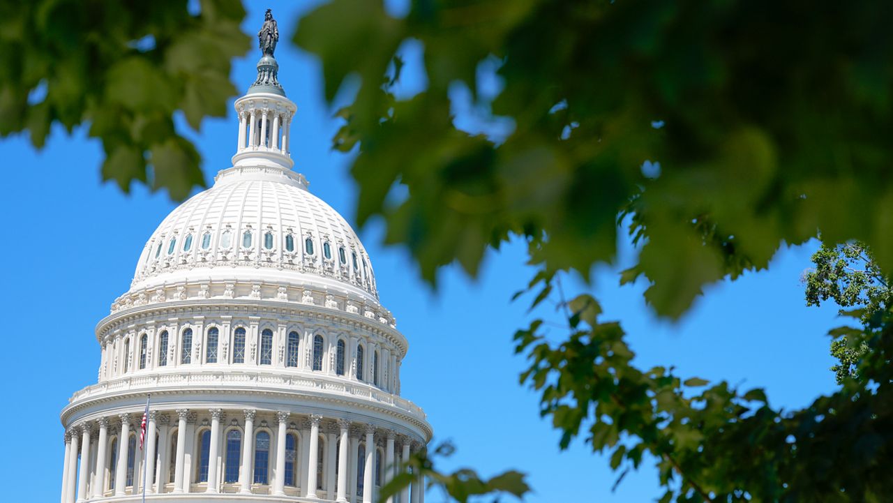 4 races to watch in New York 2026 primaries for Congress