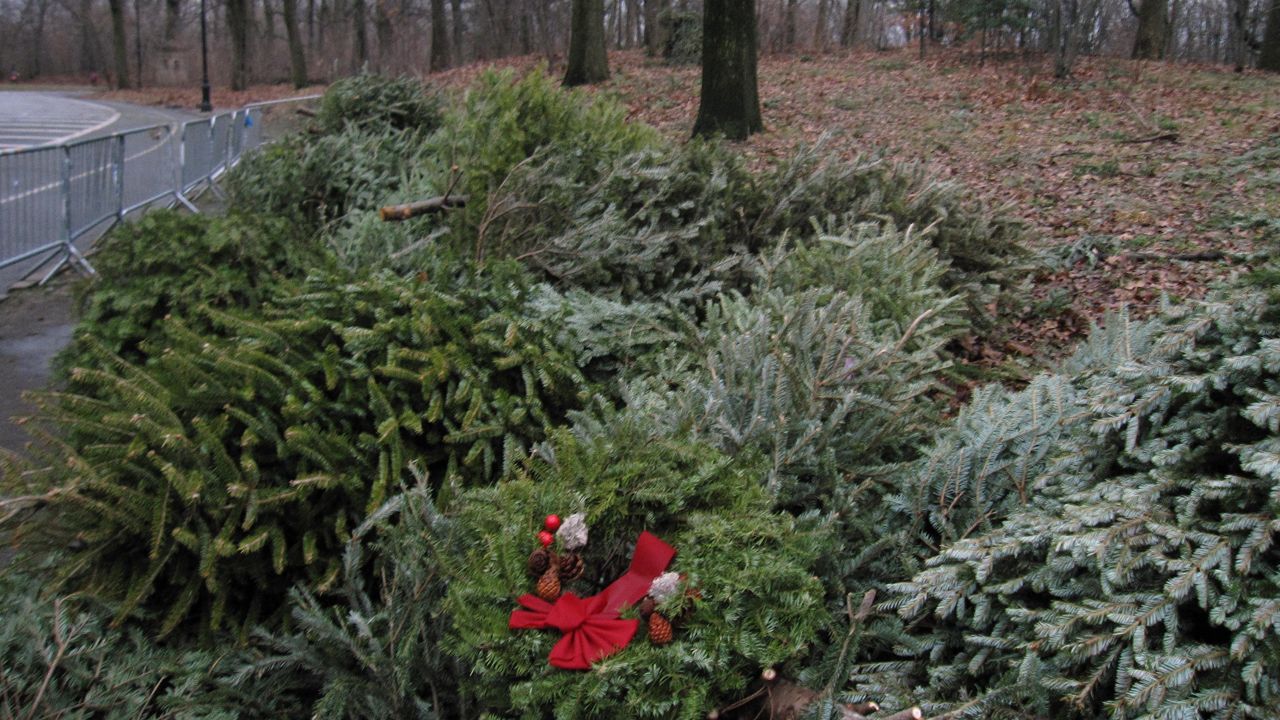 Your guide to Christmas tree recycling across Wisconsin