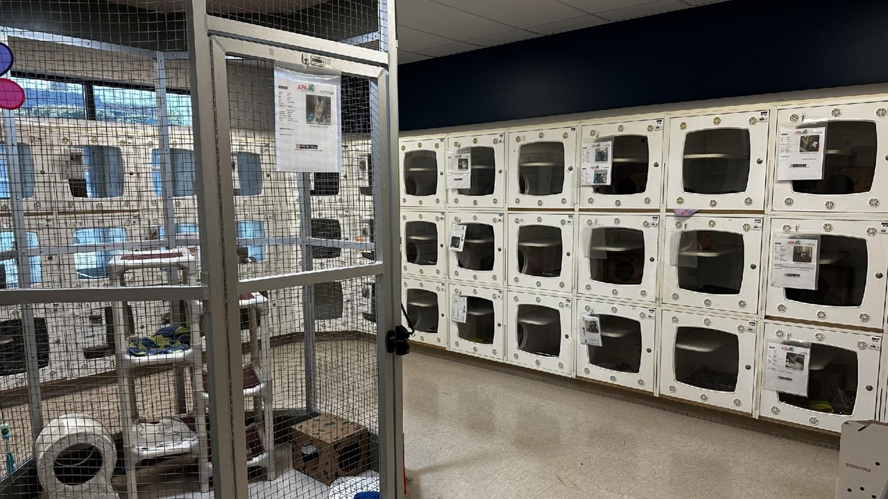 Kennels at an APA facility