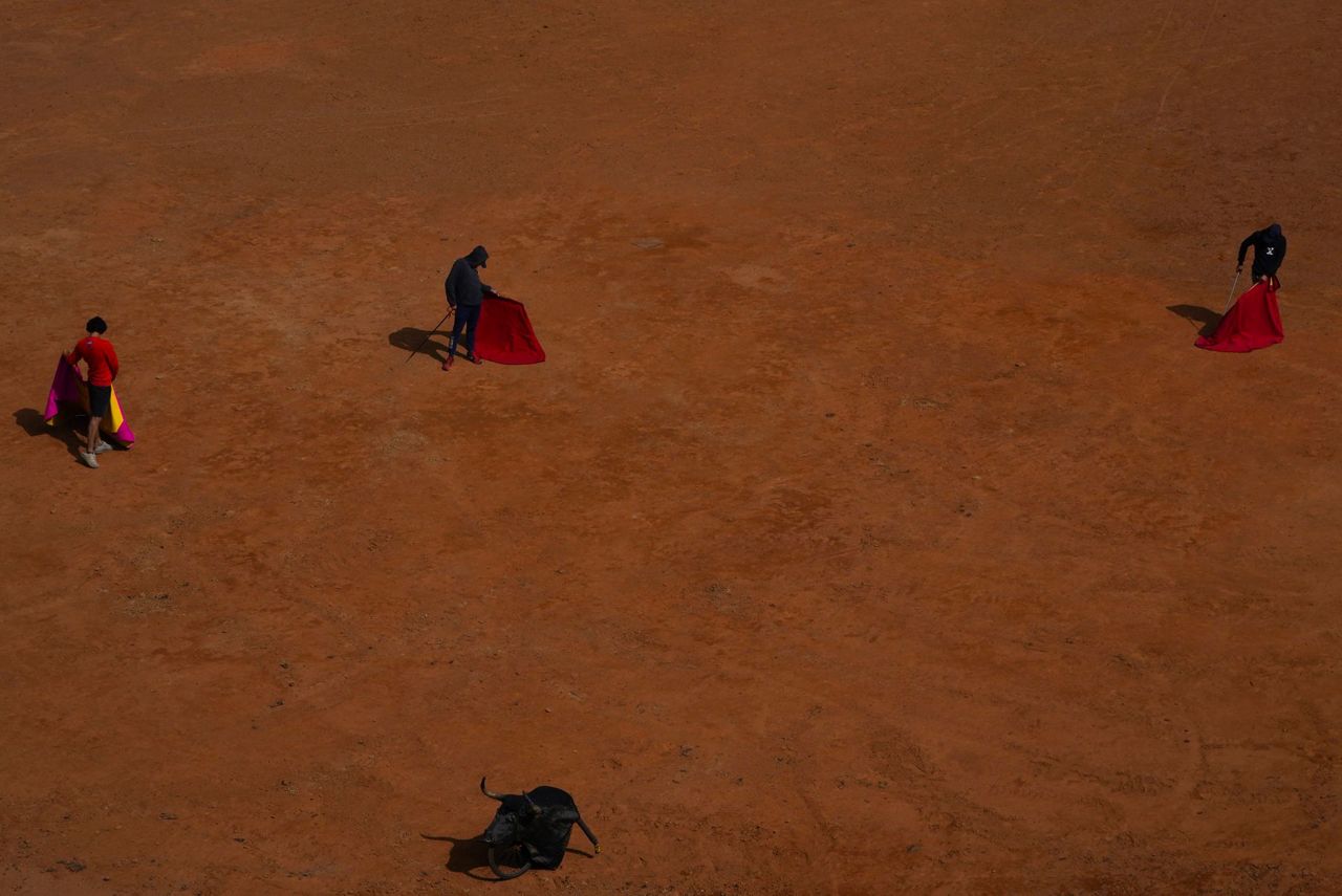 The return of bullfighting to Mexico's capital excites fans and upsets ...