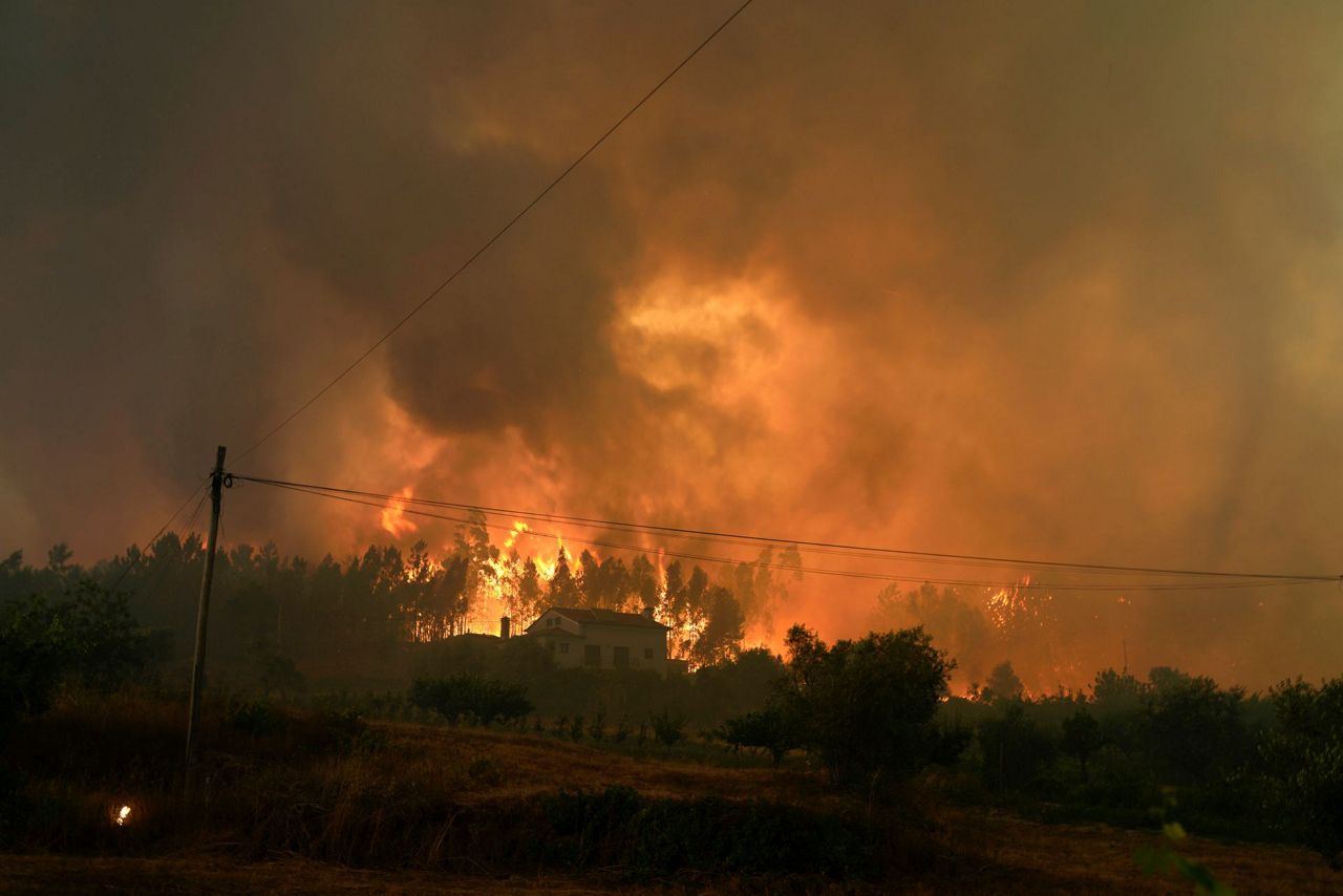 Bombeiros combatem incêndios florestais de Portugal à França
