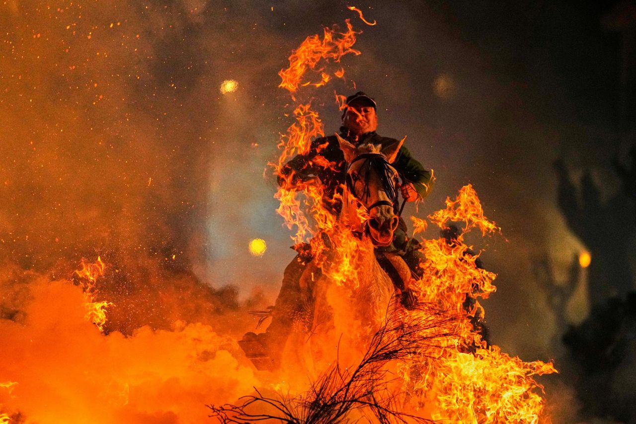 Horses leap through flames and pets go to church in Spanish animal ...
