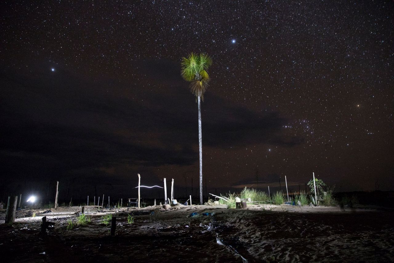 Restoring forests 1 tree at a time, to help repair climate
