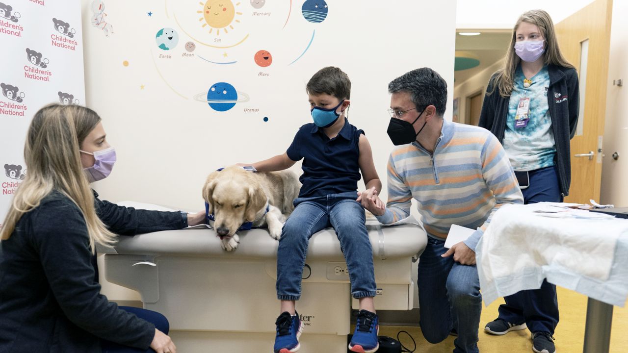 Carter Giglio, 8, holds his father's hand, Brian Giglio, and pets service dog Barney of Hero Dogs, before being vaccinated, Wednesday, Nov. 3, 2021, at Children's National Hospital in Washington. The U.S. enters a new phase Wednesday in its COVID-19 vaccination campaign, with shots now available to millions of elementary-age children in what health officials hailed as a major breakthrough after more than 18 months of illness, hospitalizations, deaths and disrupted education. (AP Photo/Carolyn Kaster)
