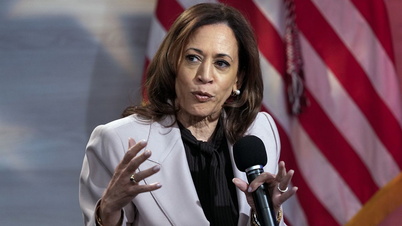 Democratic presidential nominee and Vice President Kamala Harris (AP Photo/Matt Rourke, File)