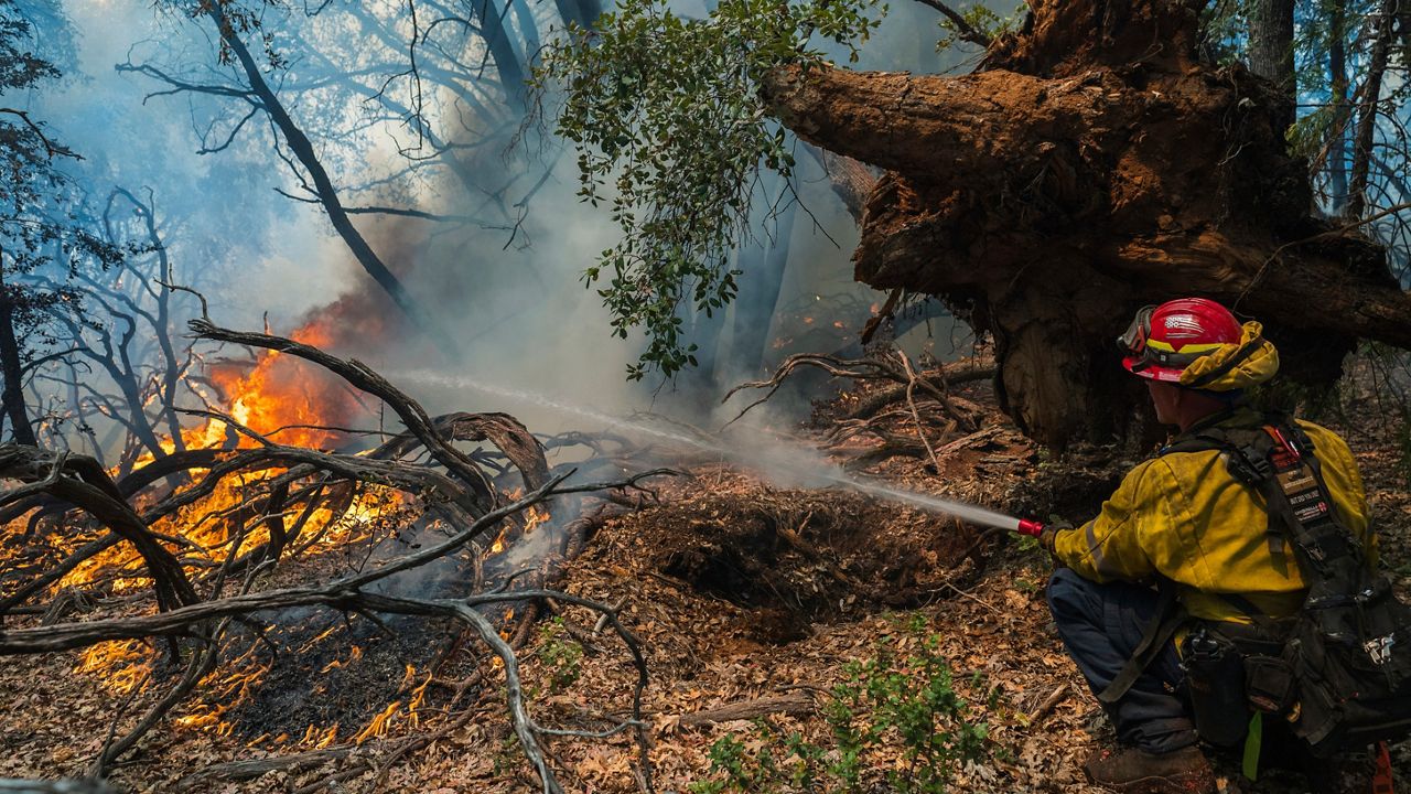 A firefighter sprays water on the Park Fire burning near Forest Ranch, Calif., Saturday, July 27, 2024. (AP Photo/Nic Coury)