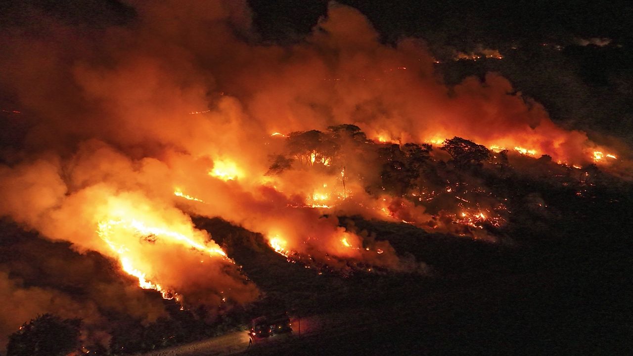 Fire consumes an area next to the Transpantaneira road in the Pantanal wetlands near Pocone, Mato Grosso state, Brazil, Nov. 15, 2023. (AP Photo/Andre Penner)