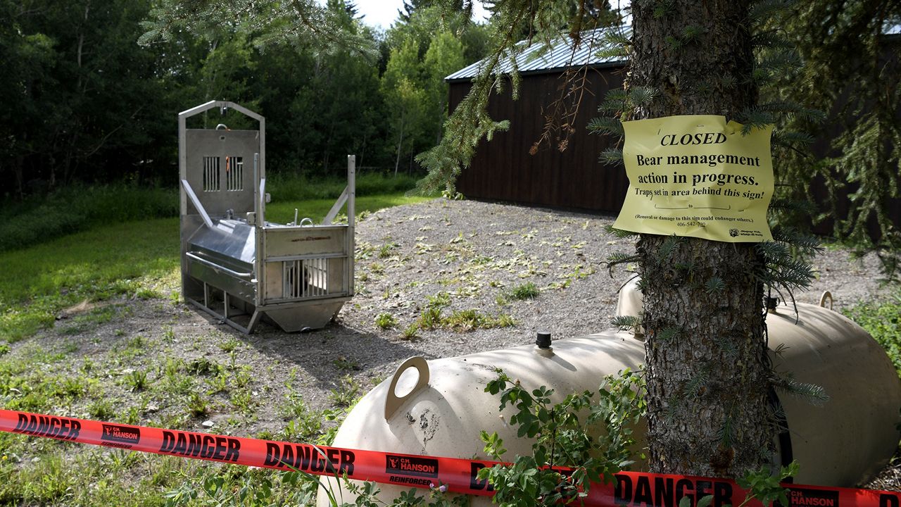 A bear trap set by Montana Fish, Wildlife and Parks is seen on July 7, 2021, in Ovando, Mont. Authorities set similar traps on Saturday night, July 22, 2023, and Sunday night, July 23, to catch a grizzly with at least one cub that attacked and killed a woman near West Yellowstone, Mont. (Tom Bauer/Missoulian via AP