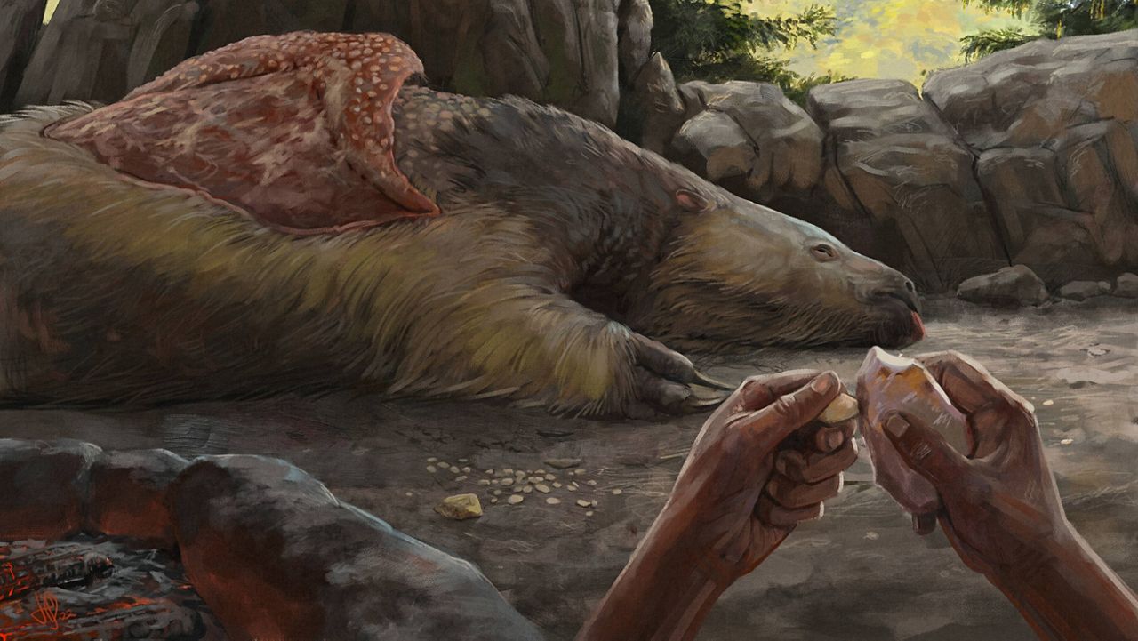 This illustration provided by researchers depicts a person carving an osteoderm from a giant sloth in Brazil about 25,000 to 27,000 years ago. (JÃºlia d'Oliveira via AP)