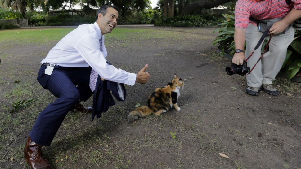 Texas Land Commissioner George P. Bush, left, poses with Bella the official Alamo cat following a news conference to celebrate the $31.5 million the General Land Office received for the preservation and development of the Alamo, Wednesday, Sept. 2, 2015, in San Antonio. (AP Photo/Eric Gay)