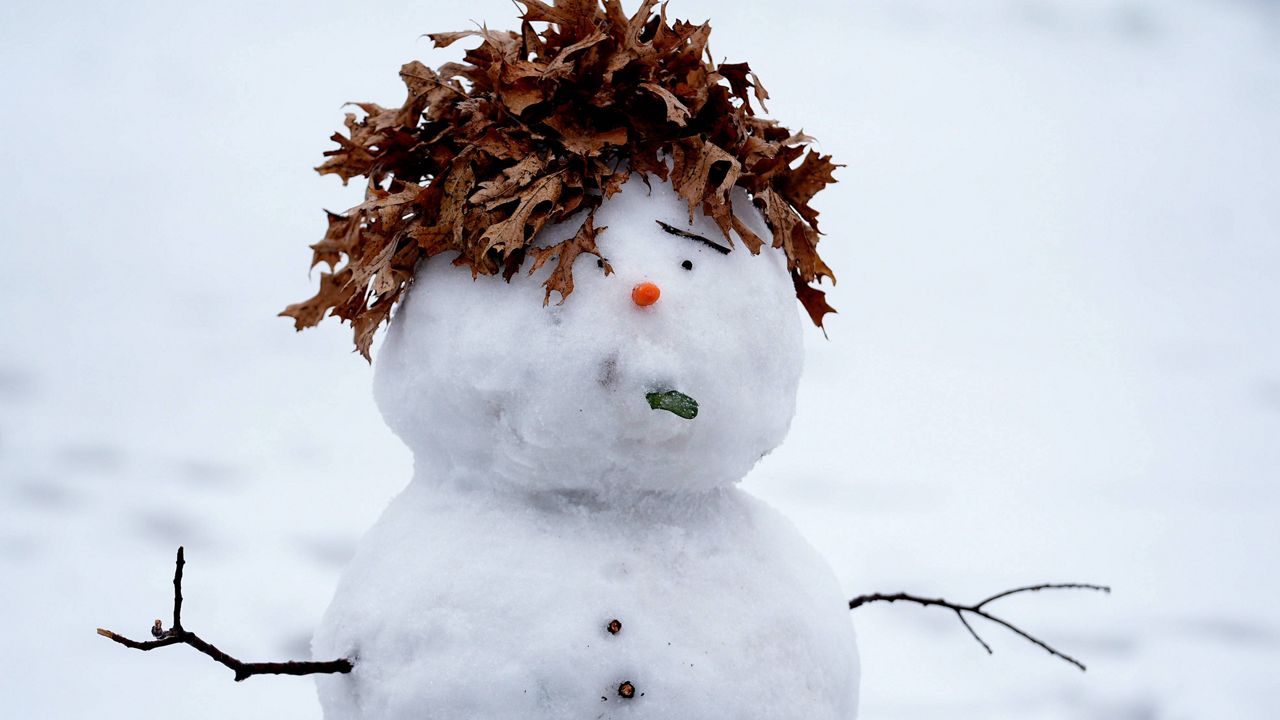 A snowman with leaves for hair stands in a park Thursday, Jan. 9, 2025, in Richardson, Texas. (AP Photo/LM Otero)