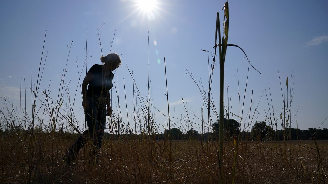 The U.S Drought Monitor has confirmed that portions of the state are now considered to be in moderate drought conditions.