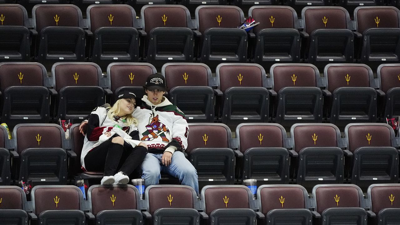 Arizona Coyotes fans are pictured.