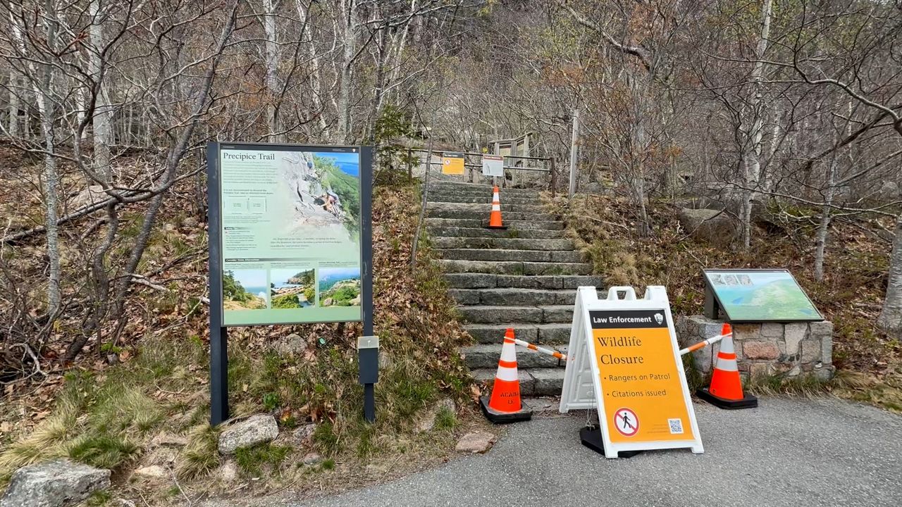 Precipice Trail, along with several others, remains closed until further notice to protect the falcons. (Spectrum News/David Ledford)