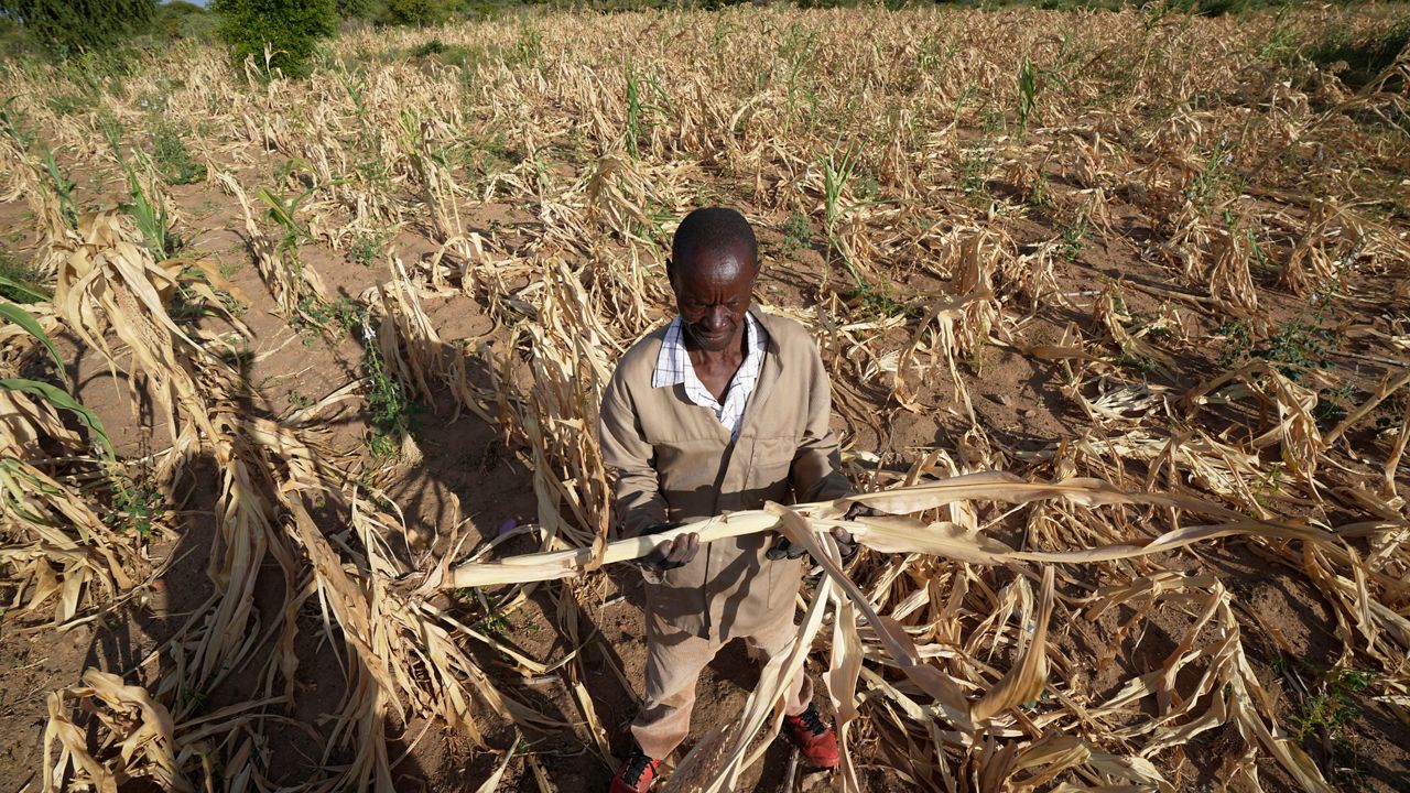 Extreme drought in southern Africa leaves millions hungry