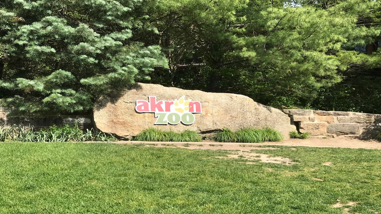 The Akron Zoo will be the first zoo in Ohio to receive the Age-Friendly Seal of Approval. (Spectrum News/Jennifer Conn) 