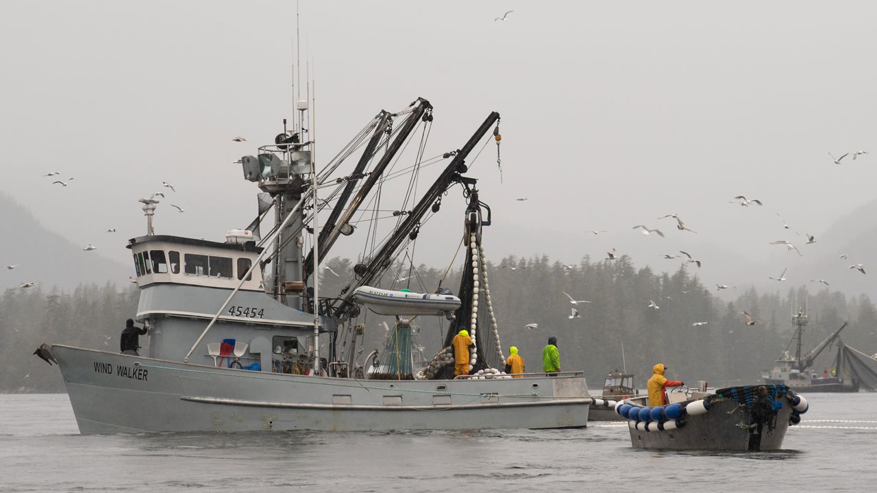 The fishing vessel Wind Walker fishes near Sitka, Alaska, March 29, 2022, during the Sitka Sound sac roe fishery. (James Poulson/The Daily Sitka Sentinel via AP)