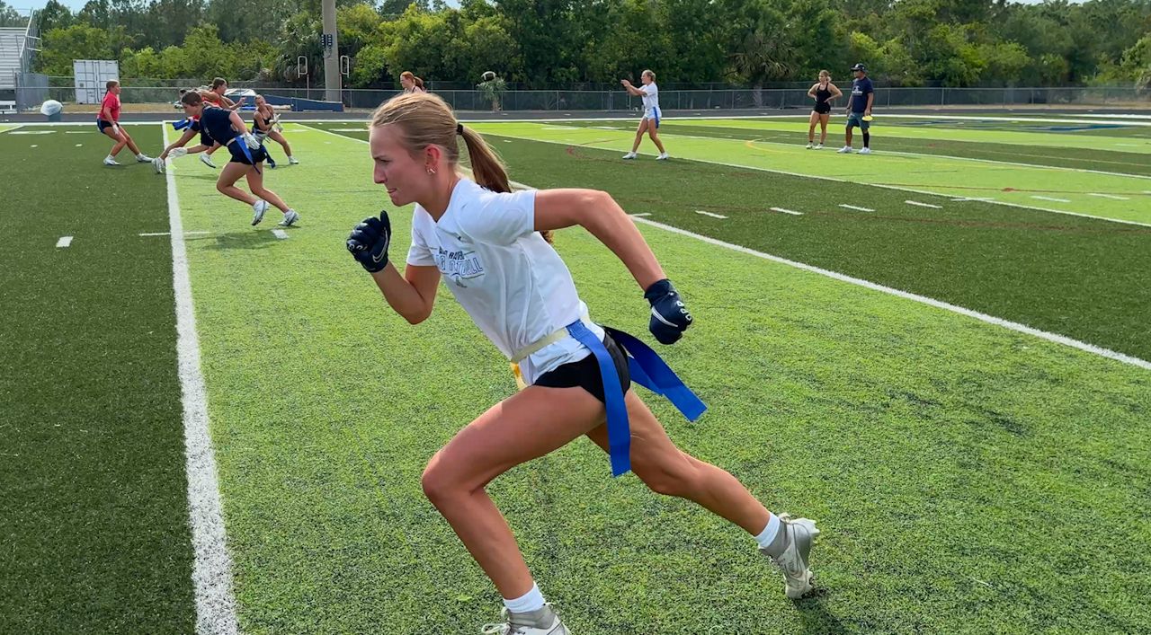 Shea Plantz leads the Alonso Ravens in receiving touchdowns and interceptions.