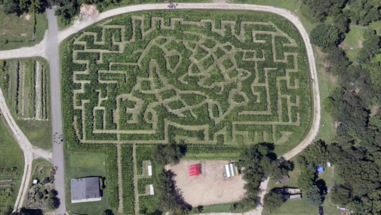 Halloween activities to check out in the city