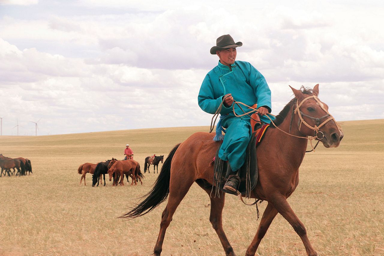 Scientists have traced the origin of the modern horse to a lineage that ...