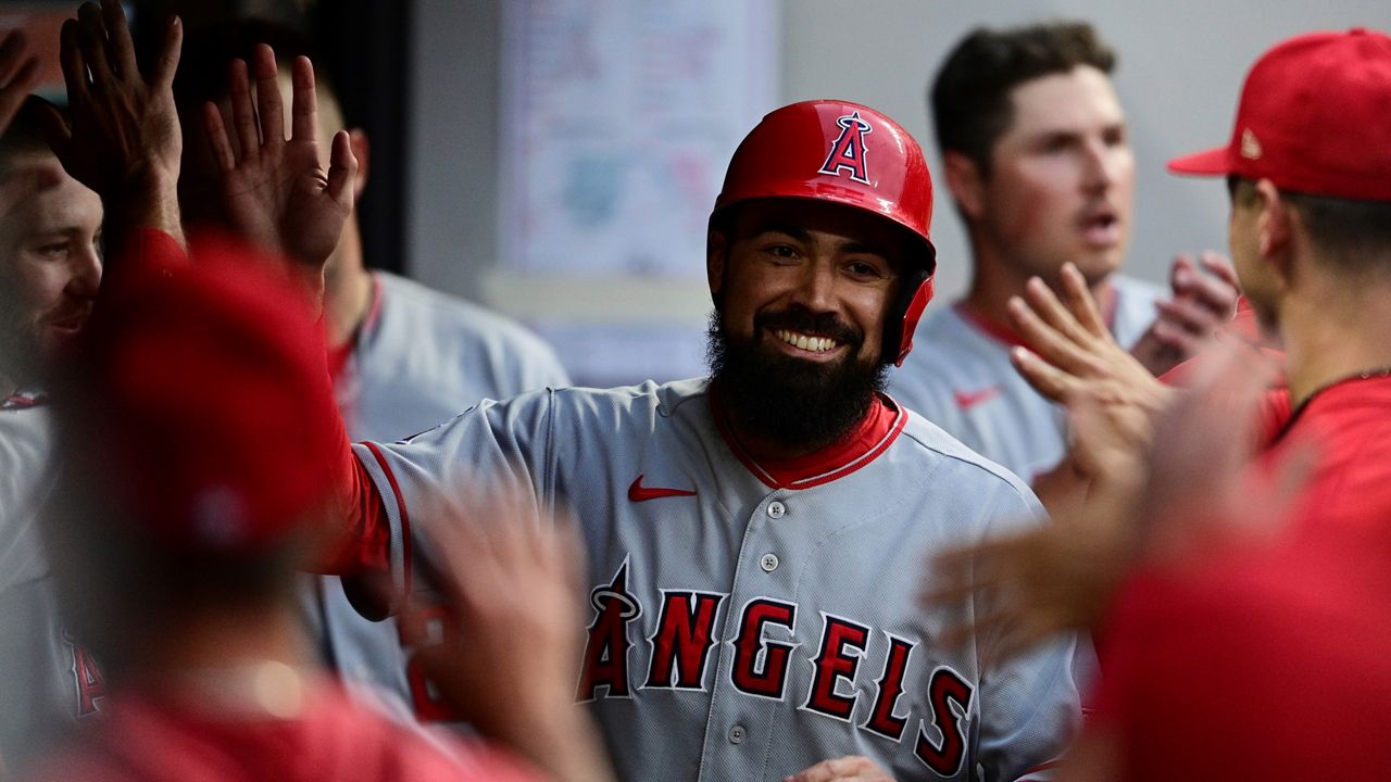 Los Angeles Angels' Anthony Rendon is congratulated in the dugout after scoring against the Cleveland Guardians during the fourth inning of a baseball game Friday, May 12, 2023, in Cleveland. (AP Photo/David Dermer)